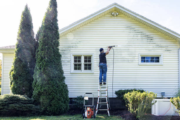 Best Driveway Pressure Washing  in South Connellsville, PA